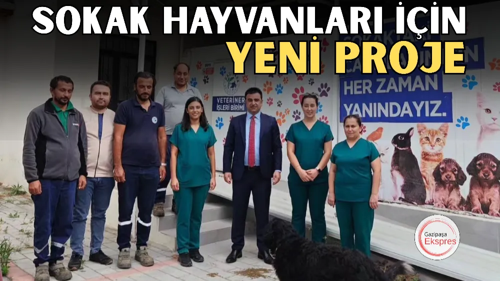 SOKAK HAYVANLARI İÇİN YENİ PROJE 